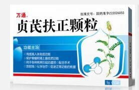 通化华夏贞芪扶正颗粒（WT）-通化华夏药业有限责任公司